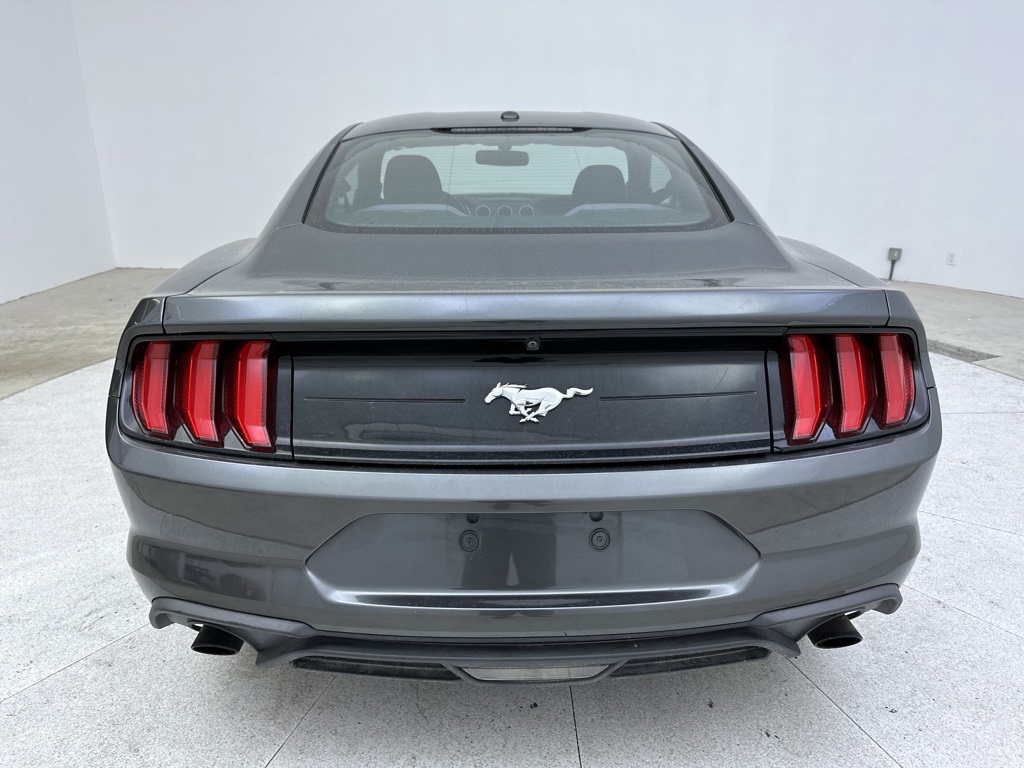 used 2019 Ford for sale