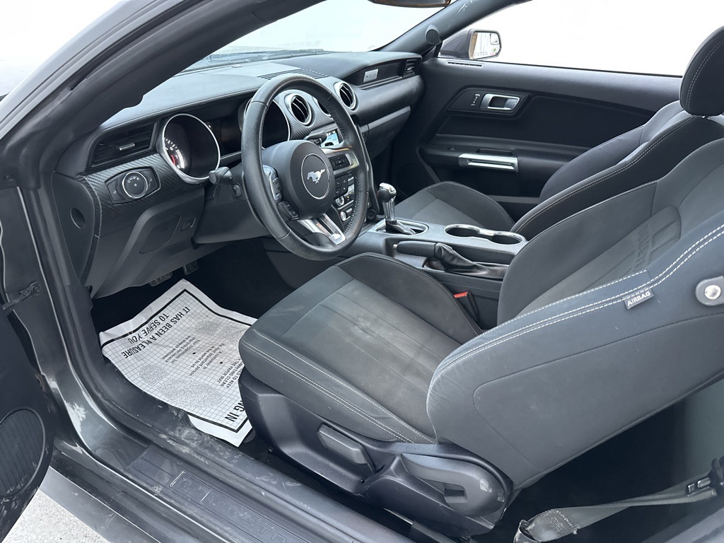 2019 Ford Mustang for sale Houston TX